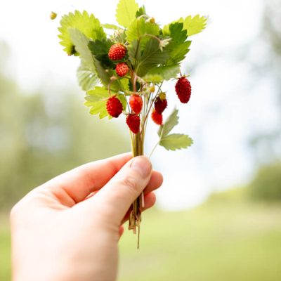 manufaktur_ritter_marmelade_kupferkessel_überuns